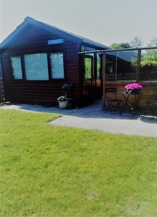 Вилла Het Duikertje - Tiny House Dirkshorn Экстерьер фото